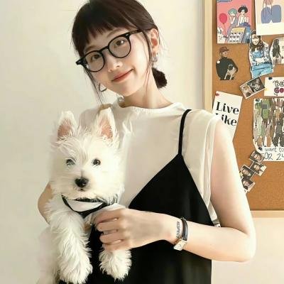成龙历险记第三季